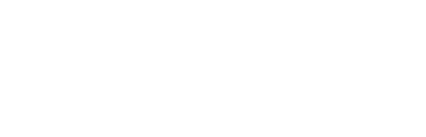 Intellectual Point